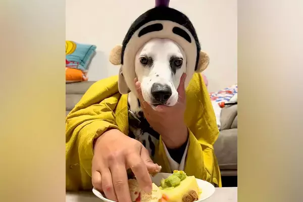 犬と『二人羽織』に挑戦した結果→本能むき出し過ぎる『カオスな状況』に256万再生の反響「脳がバグるｗ」「制御不能ｗｗ」「ご乱心で草」