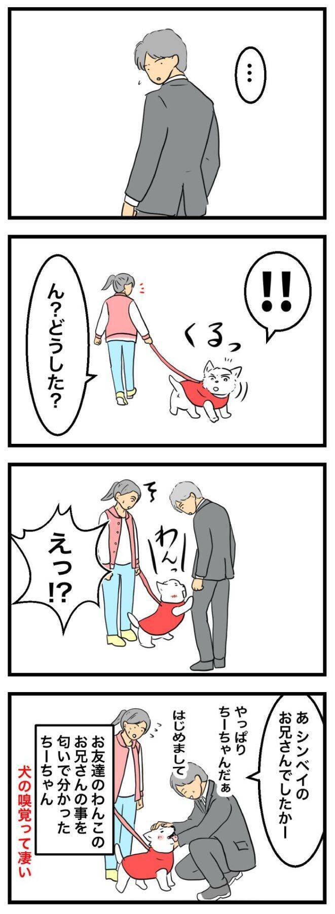 ちーちゃんですけどもっ【第358話】「やっぱり凄い」