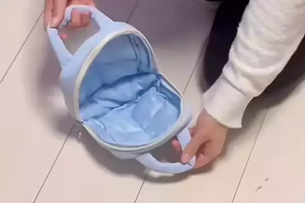 『バッグに入ればお出かけできる』と思っている犬→小さなポーチを開いてみた結果…サイズ感がバグっている『まさかの光景』に154万再生の反響