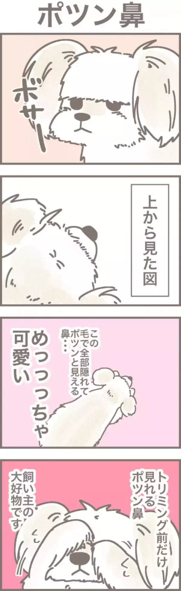 うちの王様にはどうしても抗えない【第330話】「ポツン鼻」