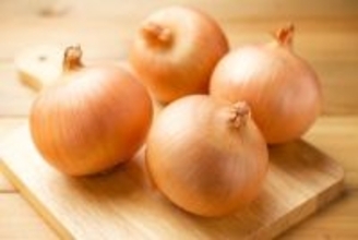 犬が『たまねぎ』を誤食した場合の致死量とは？危険な中毒症状まで解説