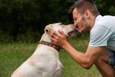 犬に苦痛を与える『飼い主のNG行為』5選　デメリットとなる対応や今すぐ改善すべき行動まで