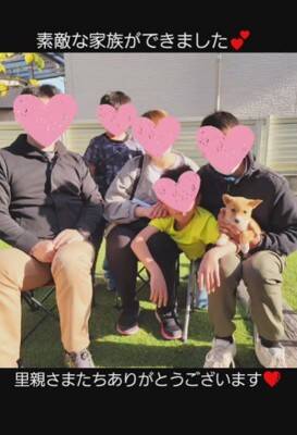 草むらの中にいた『7匹の赤ちゃん犬』を保護した結果…思わず涙が出る『現在の光景』が11万再生「泣いてしまった」「本当によかった」と感動