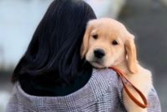 幼稚園の頃から『犬を飼いたい』と言っていた女の子→9歳の時に大型犬を飼った結果…尊すぎる『現在の光景』が29万再生「愛が溢れてる…」