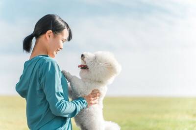 保護犬が抱える『トラウマ』を忘れさせる方法とは？ツライ記憶を消し去るためにできることまで