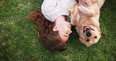 犬が『自信を失う』絶対NG行為5選　愛犬のプライドが崩壊する飼い主の態度や適切な対応まで
