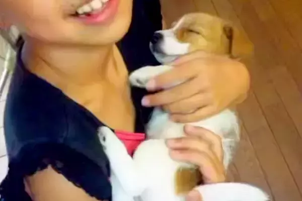 小学5年生の頃、親に『どうしても犬が飼いたい』とお願いして飼った犬…お迎え初日からお別れまでの『15年間の記録』に涙「幸せだった」「泣いた」
