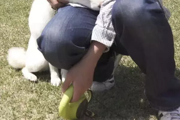 外で遊んでいた犬→移動しようとしたら『もう帰ってしまう』と勘違いして…可愛すぎる『拒否の仕方』に反響「きゅんってなる」「抱きしめたい」