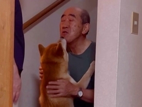 階段でイチャイチャするおじいちゃんと犬…まるで『路地裏のカップル』のような光景が85万再生「完全にふたりの世界ｗ」「大好き伝わる」と絶賛