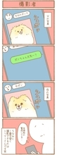 ただの犬好きです。【第349話】「撮影者」