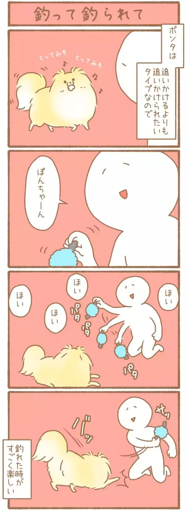 ただの犬好きです。【第345話】「釣って釣られて」