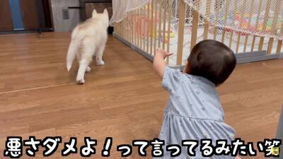 赤ちゃんが『生まれた瞬間から大型犬と過ごした』結果…まさかの『野生化』する光景が12万再生「もののけ姫みたいｗ」「可愛いの大渋滞」