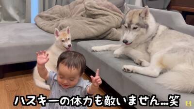 赤ちゃんが『生まれた瞬間から大型犬と過ごした』結果…まさかの『野生化』する光景が12万再生「もののけ姫みたいｗ」「可愛いの大渋滞」