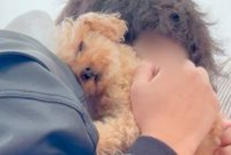 1週間、実家に犬を預けた結果→再会した瞬間に…相思相愛な『おかえりなさい！』が泣けてくると19万再生「涙が出た…」「無限に見れる」と絶賛