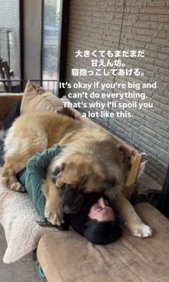 大型犬の赤ちゃんを抱っこして撮影→数年後『全く同じ撮り方』をしてみた結果…「撮り方が天才」「面白すぎるｗｗ」まさかの光景が話題に