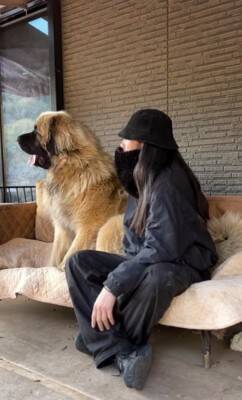 大型犬の赤ちゃんを抱っこして撮影→数年後『全く同じ撮り方』をしてみた結果…「撮り方が天才」「面白すぎるｗｗ」まさかの光景が話題に