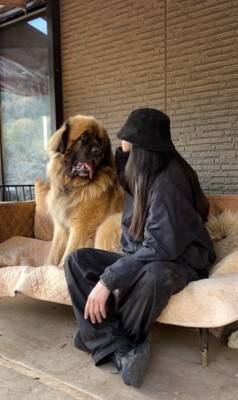 大型犬の赤ちゃんを抱っこして撮影→数年後『全く同じ撮り方』をしてみた結果…「撮り方が天才」「面白すぎるｗｗ」まさかの光景が話題に