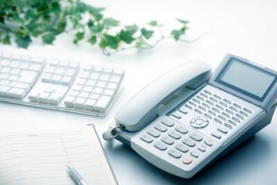 犬が亡くなったときに飼い主がすべきこと４選　まず何をすればいいの？必要な手続きまで