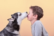 犬とのキスが『危険な理由』とは？見直すべきスキンシップや注意点まで