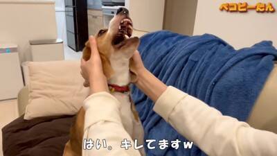 犬のパパとママへの『態度の違い』を比較した結果…明らかすぎる『塩対応』に爆笑「この世の終わりの顔で草」「ヒエラルキーがｗ」と3万再生