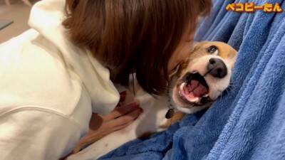 犬のパパとママへの『態度の違い』を比較した結果…明らかすぎる『塩対応』に爆笑「この世の終わりの顔で草」「ヒエラルキーがｗ」と3万再生