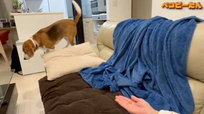 犬のパパとママへの『態度の違い』を比較した結果…明らかすぎる『塩対応』に爆笑「この世の終わりの顔で草」「ヒエラルキーがｗ」と3万再生
