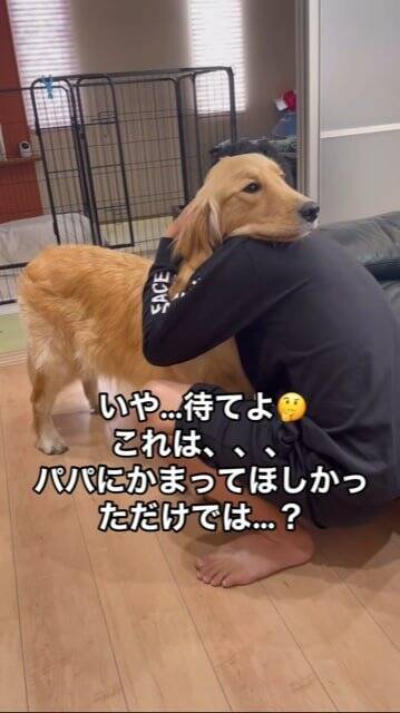 父が母に『叩くフリ』をした結果、大型犬が…とっさに見せた『家族を守ろうとする行動』が話題に「優しい」「ちゃんとわかってる」と2万再生