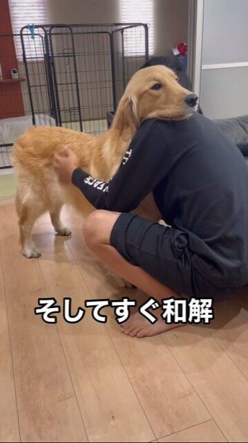 父が母に『叩くフリ』をした結果、大型犬が…とっさに見せた『家族を守ろうとする行動』が話題に「優しい」「ちゃんとわかってる」と2万再生