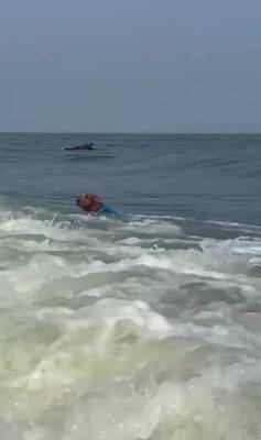 イタリアでスケボーする犬→警官に声を掛けられ『注意される』と思ったら…衝撃的な『まさかのリクエスト』が339万再生「可愛いは世界共通」