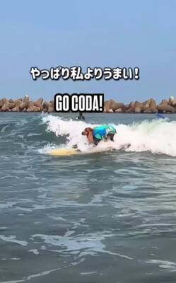 イタリアでスケボーする犬→警官に声を掛けられ『注意される』と思ったら…衝撃的な『まさかのリクエスト』が339万再生「可愛いは世界共通」