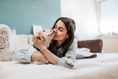 『人に忠実な犬種』5選　従順なパートナーとして良好な関係を築く方法とは？