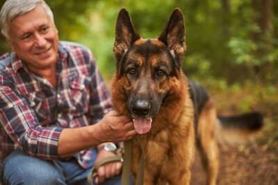 『人に忠実な犬種』5選　従順なパートナーとして良好な関係を築く方法とは？
