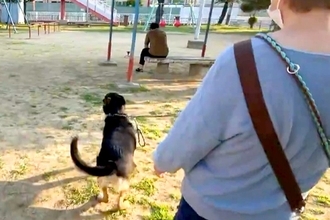 朝、犬の散歩中『いるはずのないパパ』が待ち伏せしていた結果→気付いた瞬間…『尊すぎる光景』に「愛されてる」「可愛くて仕方ない」と絶賛