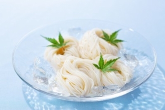 犬に『そうめん』を食べさせても大丈夫？与える際の5つの注意点とは？