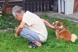 おともだちの『92歳のおじいちゃん』に会いに来た犬→気付いた瞬間に…微笑ましいやり取りに反響「大好きなんだね」「おじいちゃんも素敵」
