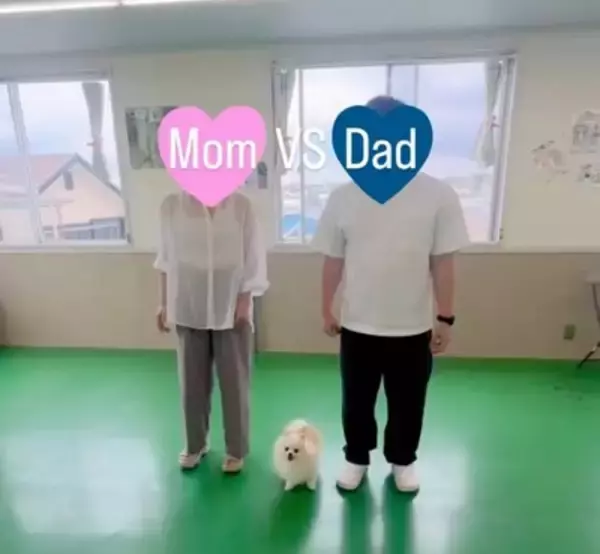 犬は『パパとママが突然離れたら』どっちに行く？検証してみたら…『まさかすぎる結末』が切ないと10万再生「なんの躊躇もないｗ」と爆笑