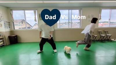 犬は『パパとママが突然離れたら』どっちに行く？検証してみたら…『まさかすぎる結末』が切ないと10万再生「なんの躊躇もないｗ」と爆笑