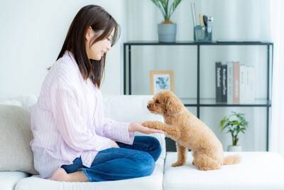 愛犬が『言うことを聞かない』のは信頼関係ができていないから？行動分析学的に見た信頼の築き方