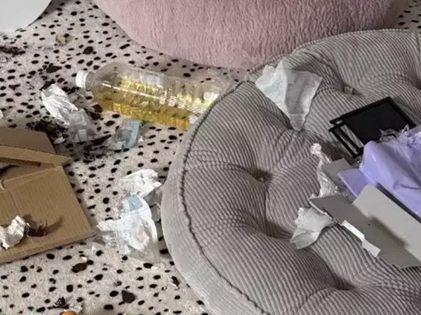 『推しのDVD』を見るのが好きな大型犬→留守番中に流し忘れた結果…衝撃的な光景が169万表示「差がエグすぎるｗ」「あっ…てなるやつ」