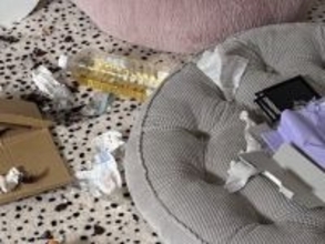 『推しのDVD』を見るのが好きな大型犬→留守番中に流し忘れた結果…衝撃的な光景が169万表示「差がエグすぎるｗ」「あっ…てなるやつ」