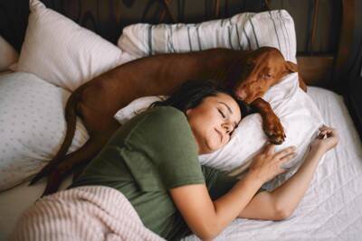 犬と人は一緒に寝ても大丈夫なの？寝床を共にするメリット・デメリットまで解説
