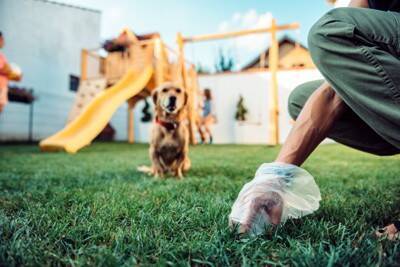 犬が外で『ウンチ』をしたときの絶対NG行為5選　避けるべきタブー行動や飼い主が守るべきマナーまで
