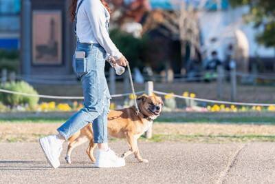 犬が外で『ウンチ』をしたときの絶対NG行為5選　避けるべきタブー行動や飼い主が守るべきマナーまで