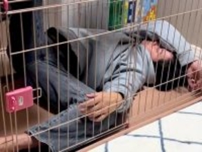 酔っ払ってベロベロのパパ→犬のケージから出れなくなり…思わず吹き出してしまう光景が243万再生「立場逆で草」「犬に叱られてるｗｗ」