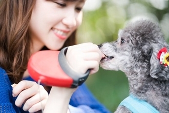 犬に絶対NGな『おやつの与え方』５選　飼い主のタブー行為や一日の適正量まで