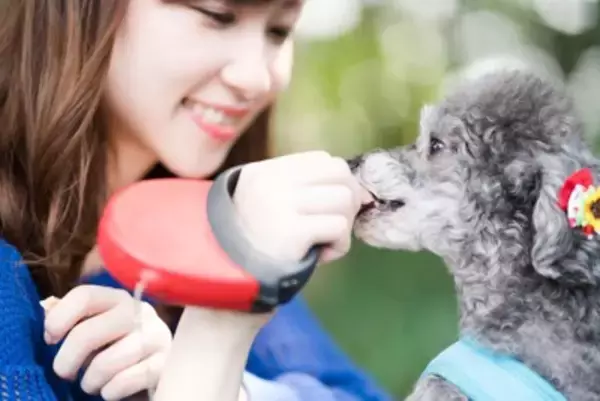 犬に絶対NGな『おやつの与え方』５選　飼い主のタブー行為や一日の適正量まで