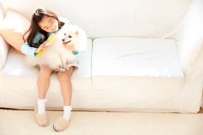 犬から『いいニオイ』がする理由5選　いつもと違う臭いがする場合は要注意？病気の可能性まで