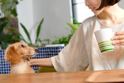 犬が悲しむ『飼い主の言葉』５選　愛犬は否定的な発言がわかるの？辛いと感じているサインまで