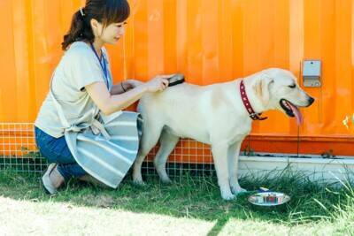 犬の体に『マダニ』がついてしまった場合のリスクとは？どれぐらい危険なの？