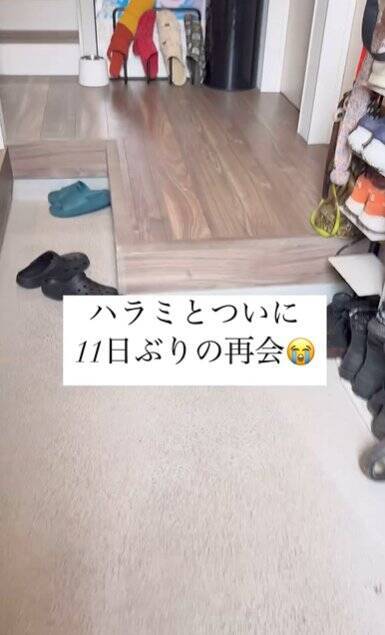 生まれて初めてお母さんと離れ離れになった犬→11日ぶりの再会で見せた『予想外な結末』に「塩対応で草」「思ってたんと違うｗ」と爆笑の声